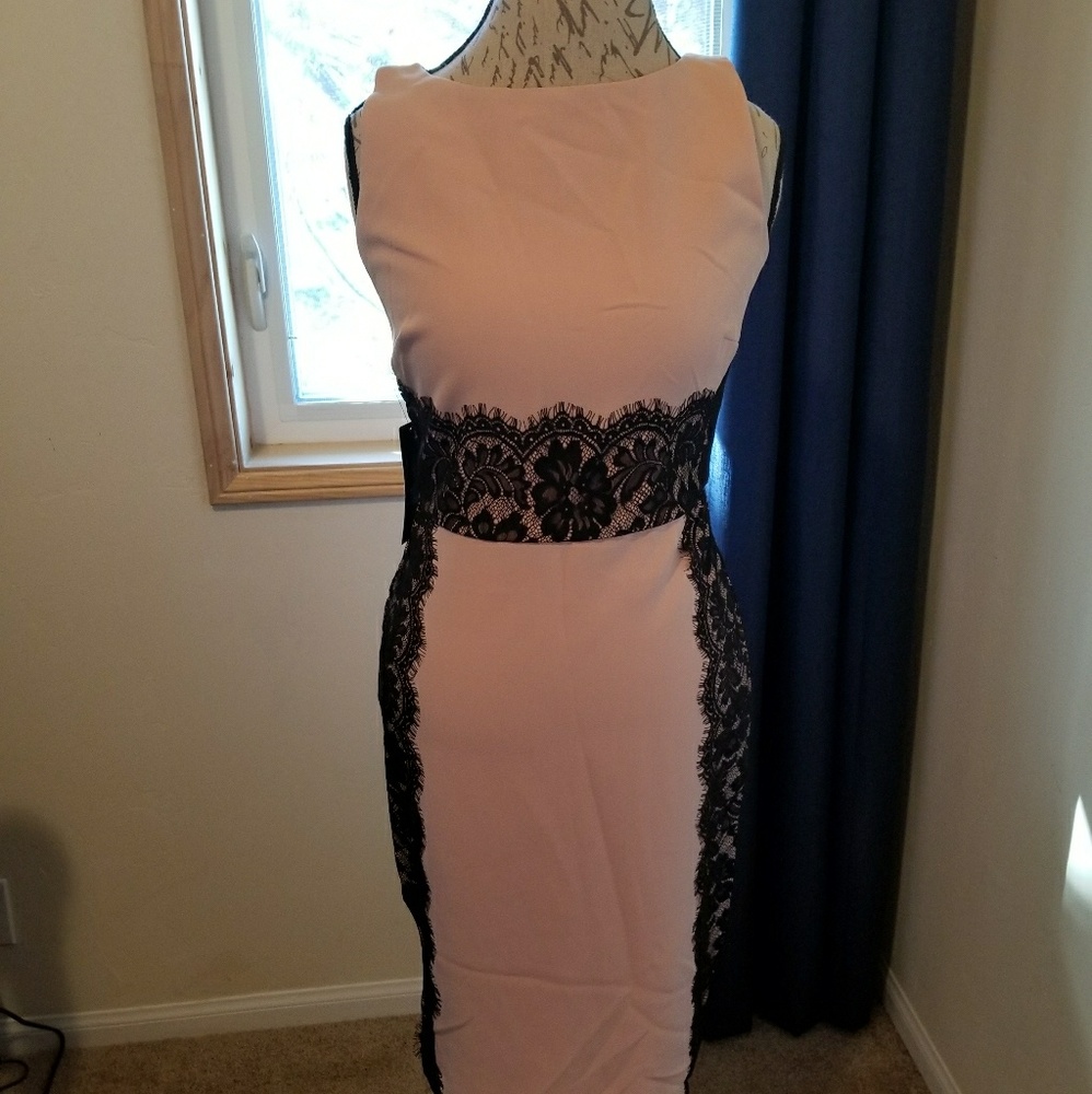 The Limited Baby Pink Sheath Dress Lace Trim